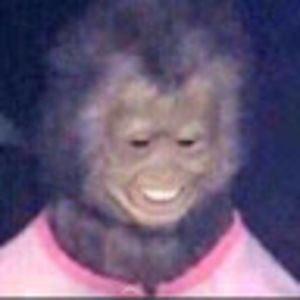 Meet your Posher, Xyro